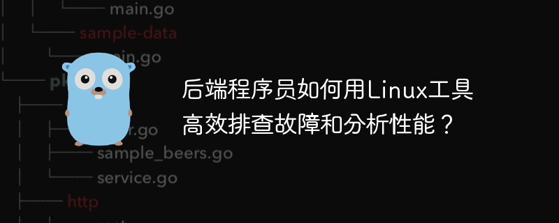后端程序员如何用linux工具高效排查故障和分析性能？