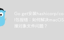 Go get安装hashicorp/consul包报错：如何解决macOS链接对象文件问题？