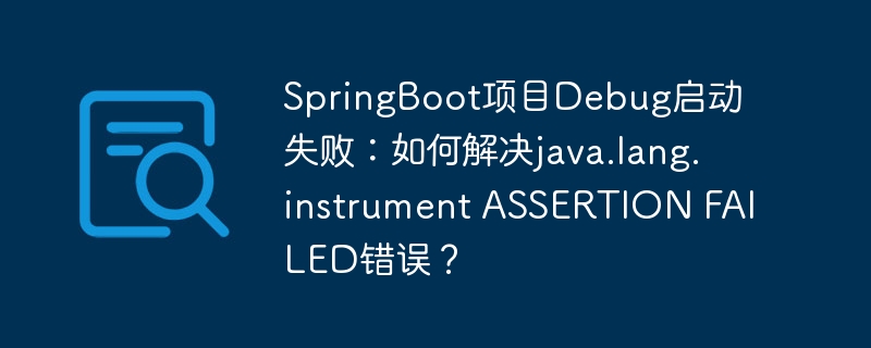 SpringBoot项目Debug启动失败：如何解决java.lang.instrument ASSERTION FAILED错误？