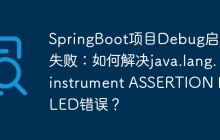 SpringBoot项目Debug启动失败：如何解决java.lang.instrument ASSERTION FAILED错误？
