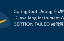 SpringBoot Debug 启动报错：java.lang.instrument ASSERTION FAILED 如何解决？