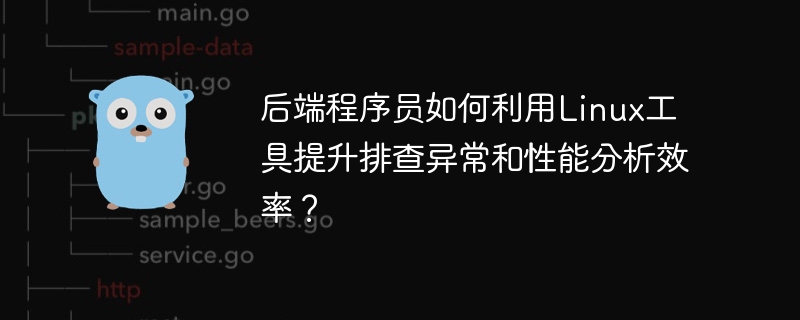 后端程序员如何利用Linux工具提升排查异常和性能分析效率？