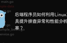后端程序员如何利用Linux工具提升排查异常和性能分析效率？
