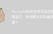 Go build后的文件无法在服务器运行：如何解决交叉编译问题？