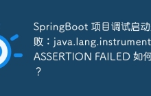 SpringBoot 项目调试启动失败：java.lang.instrument ASSERTION FAILED 如何解决？