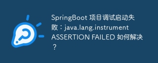 SpringBoot 项目调试启动失败：java.lang.instrument ASSERTION FAILED 如何解决？