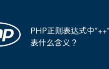 PHP正则表达式中“++”代表什么含义?
