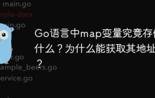 Go语言中map变量究竟存储了什么？为什么能获取其地址？