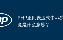 PHP正则表达式中++究竟是什么意思?