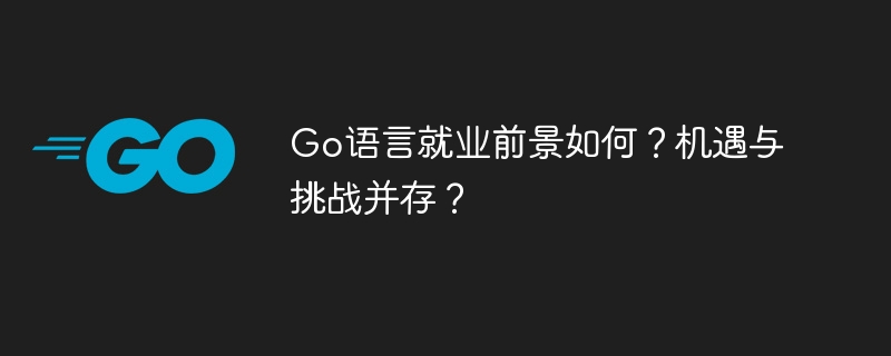 Go语言就业前景如何？机遇与挑战并存？