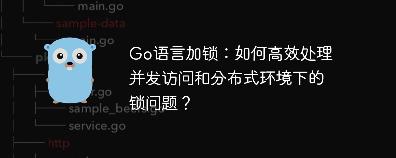 go语言加锁：如何高效处理并发访问和分布式环境下的锁问题？