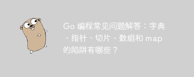 go 编程常见问题解答：字典、指针、切片、数组和 map 的陷阱有哪些？