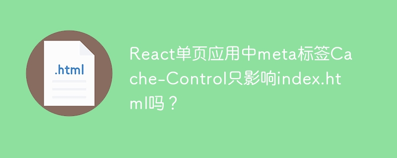 React单页应用中meta标签Cache-Control只影响index.html吗？
