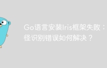 Go语言安装Iris框架失败：路径识别错误如何解决？