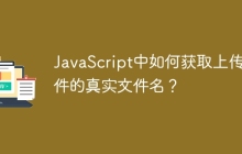 JavaScript中如何获取上传文件的真实文件名？