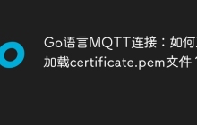 Go语言MQTT连接：如何正确加载certificate.pem文件？