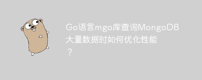 go语言mgo库查询mongodb大量数据时如何优化性能？