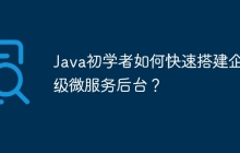 Java初学者如何快速搭建企业级微服务后台？