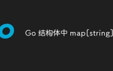 Go 结构体中 map[string]