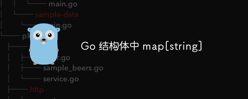 go 结构体中 map[string]