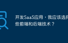 开发SaaS应用,我应该选择哪些前端和后端技术?