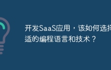 开发SaaS应用，该如何选择合适的编程语言和技术？