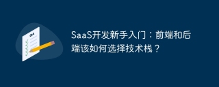 SaaS开发新手入门：前端和后端该如何选择技术栈？