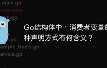 Go结构体中，消费者变量的这种声明方式有何含义？