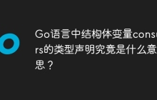 Go语言中结构体变量consumers的类型声明究竟是什么意思？