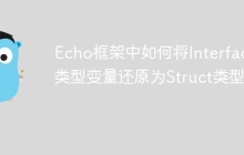 Echo框架中如何将Interface类型变量还原为Struct类型？