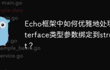 Echo框架中如何优雅地处理interface类型参数绑定到struct？