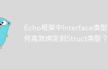 Echo框架中Interface类型如何高效绑定到Struct类型？