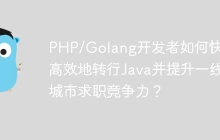PHP/Golang开发者如何快速高效地转行Java并提升一线城市求职竞争力？