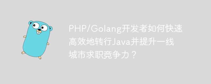 php/golang开发者如何快速高效地转行java并提升一线城市求职竞争力？