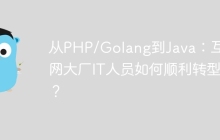 从PHP/Golang到Java：互联网大厂IT人员如何顺利转型？