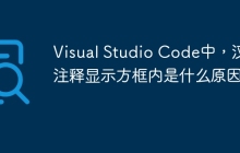 Visual Studio Code中，汉字注释显示方框内是什么原因？
