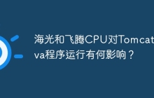 海光和飞腾CPU对Tomcat和Java程序运行有何影响？