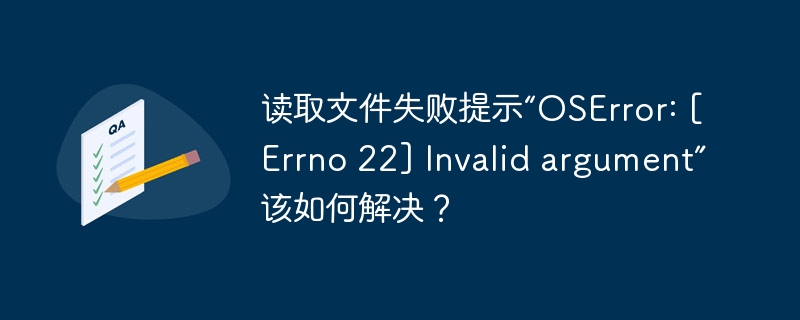 读取文件失败提示“OSError: [Errno 22] Invalid argument”该如何解决？