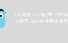Go语言JSON处理：如何优雅地处理JSON中不确定字段？