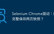 Selenium Chrome驱动：如何完整保存网页快照？