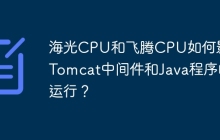 海光CPU和飞腾CPU如何影响Tomcat中间件和Java程序的运行？