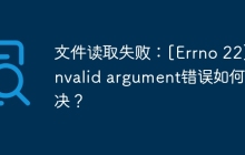 文件读取失败：[Errno 22] Invalid argument错误如何解决？