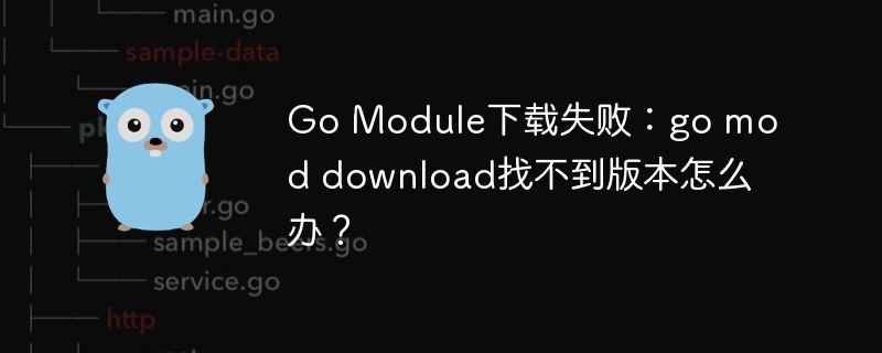 go module下载失败：go mod download找不到版本怎么办？