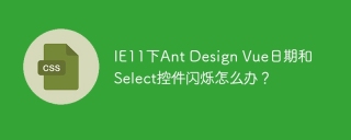 IE11下Ant Design Vue日期和Select控件闪烁怎么办？