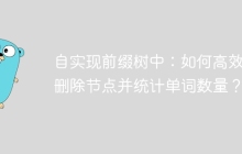 自实现前缀树中：如何高效地删除节点并统计单词数量？