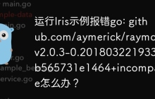 运行Iris示例报错go: github.com/aymerick/raymond@v2.0.3-0.20180322193309-b565731e1464+incompatible怎么办？