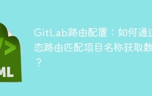 GitLab路由配置：如何通过动态路由匹配项目名称获取数据？