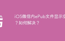 iOS微信内ePub文件显示空白？如何解决？