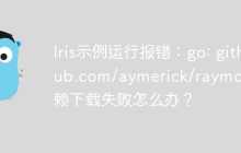 Iris示例运行报错：go: github.com/aymerick/raymond 依赖下载失败怎么办？
