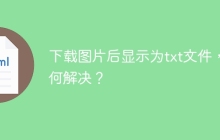 下载图片后显示为txt文件，如何解决？